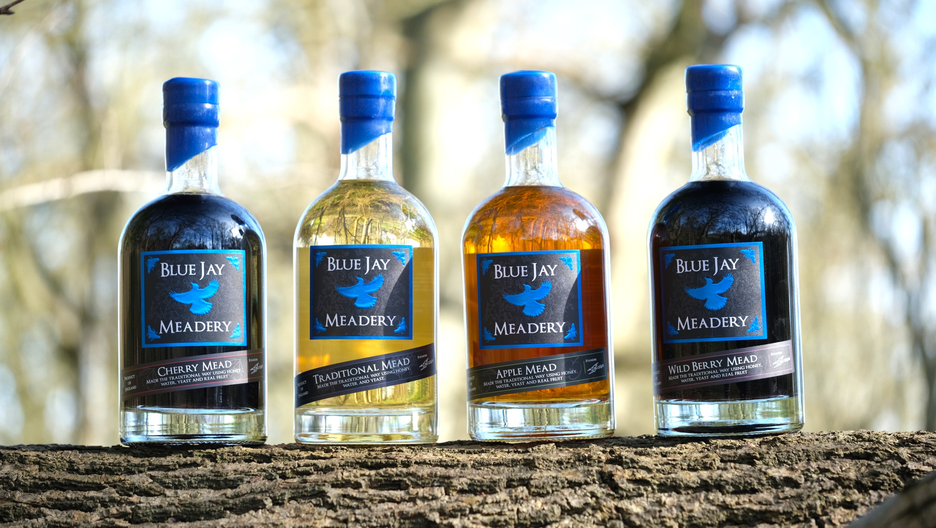 Four bottles of Blue Jay Meadery meads on a wooden surface with a blurred natural background.