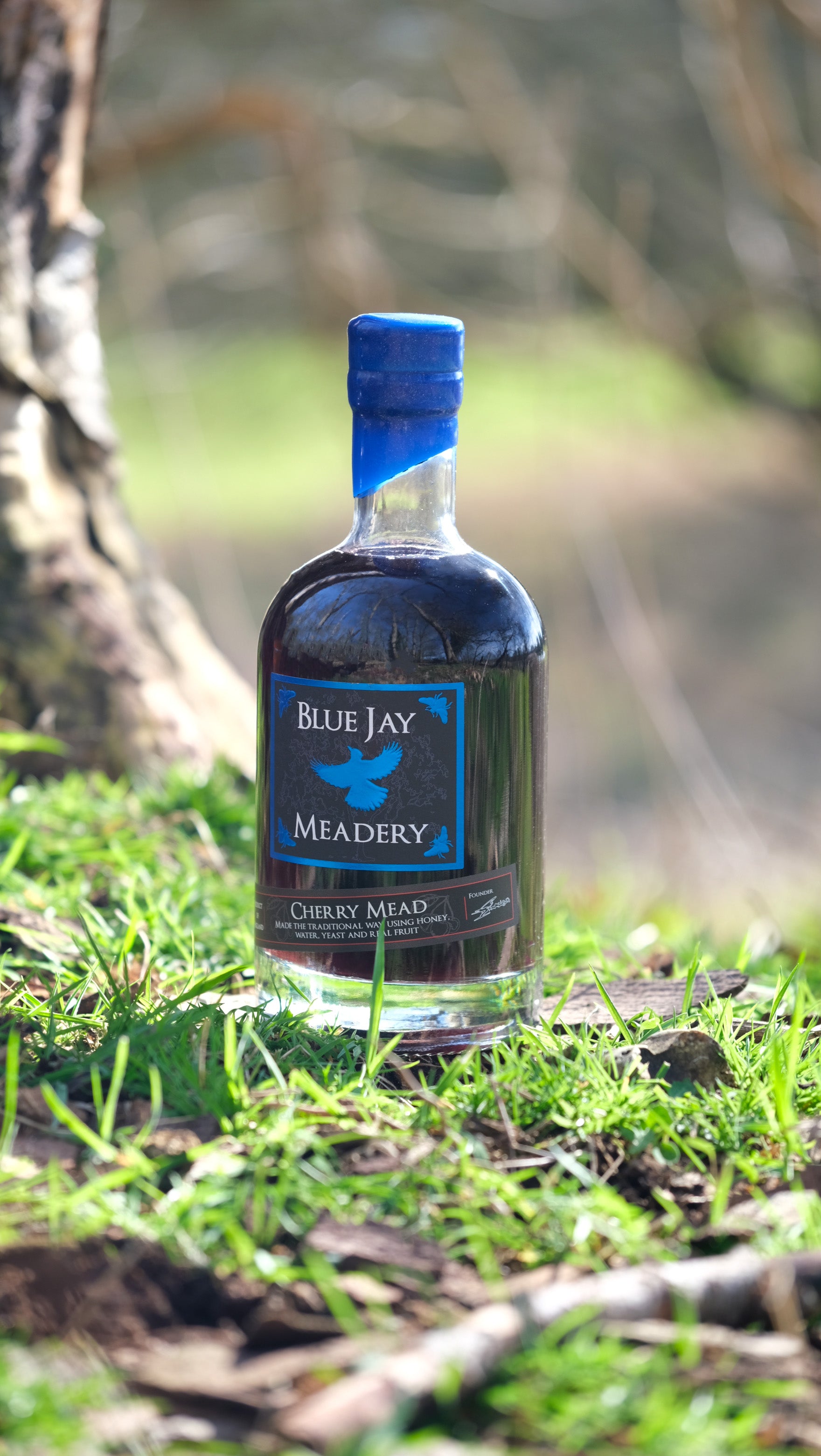 Bottle of Blue Jay Meadery mead on grass with blurred natural background