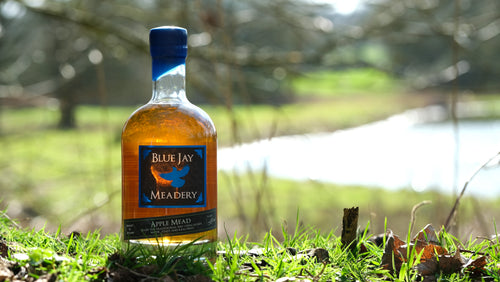 Bottle of Blue Jay Meadery apple mead on grass with a blurred natural background