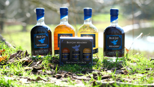 Four bottles of Blue Jay Meadery mead on grass with a blurred natural background