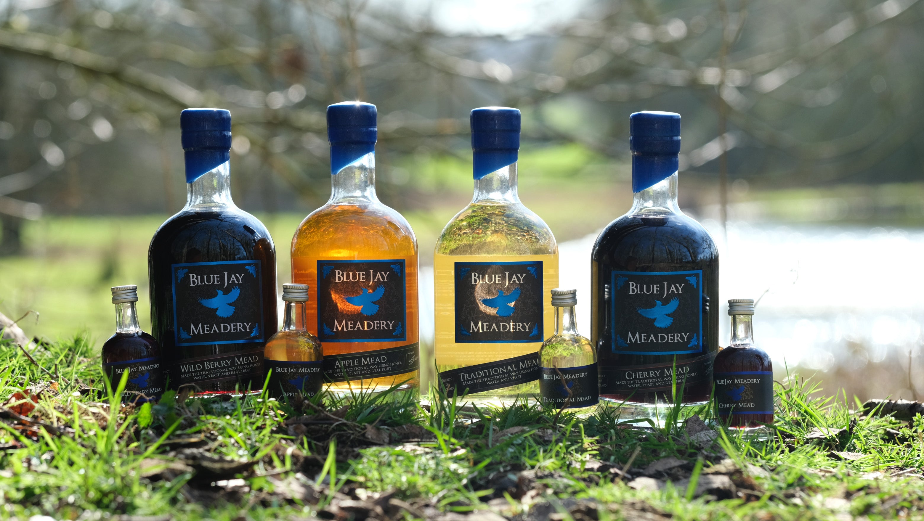 Collection of Blue Jay Meadery bottles on grass with a blurred natural background